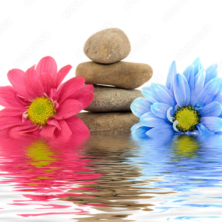 Flower1 Flower1