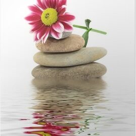 flower2 flower2